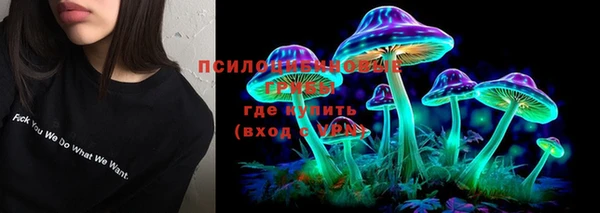 прущие крисы Чита