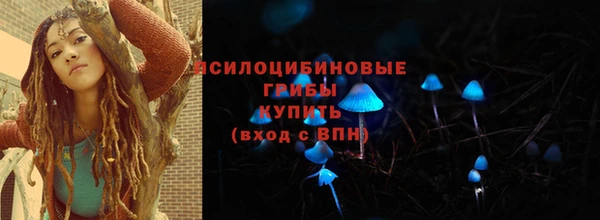 винт Лабытнанги