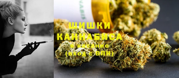 винт Лабытнанги