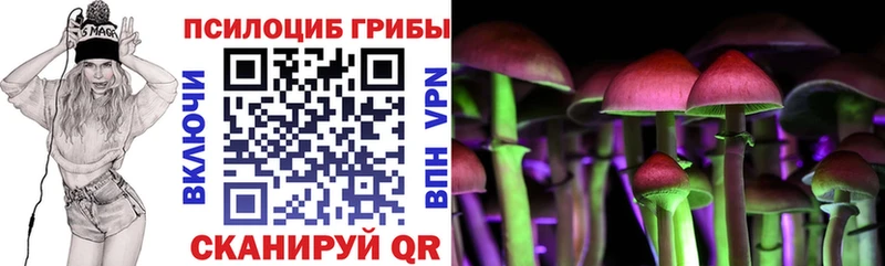 Псилоцибиновые грибы Cubensis  Полярные Зори 