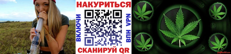 где купить наркоту  Полярные Зори  Шишки марихуана сатива 